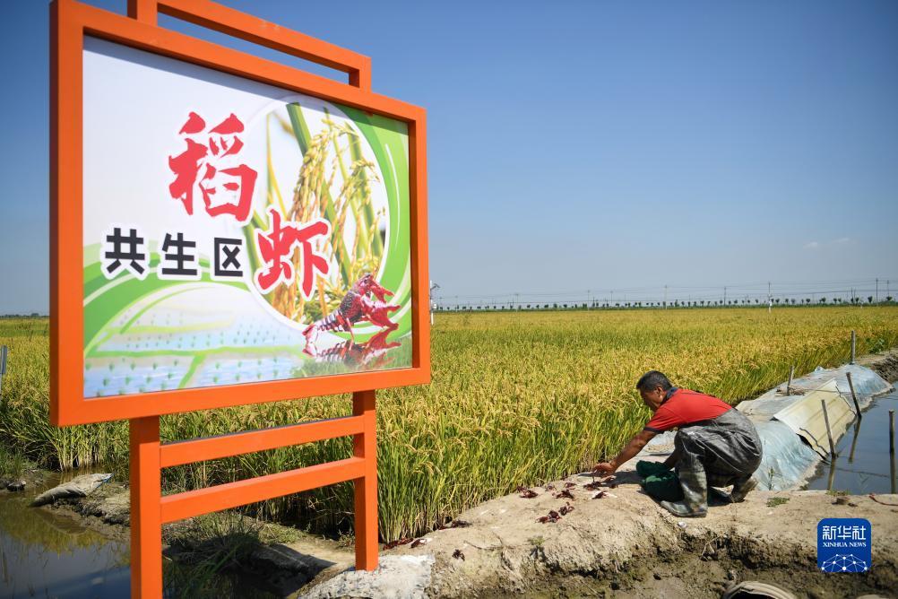 九州网站怎么登录